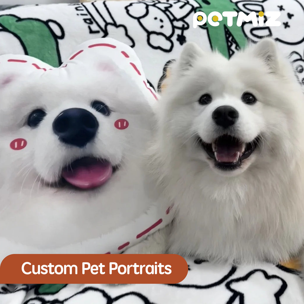 PETMIZ Pet Portrait Pillow