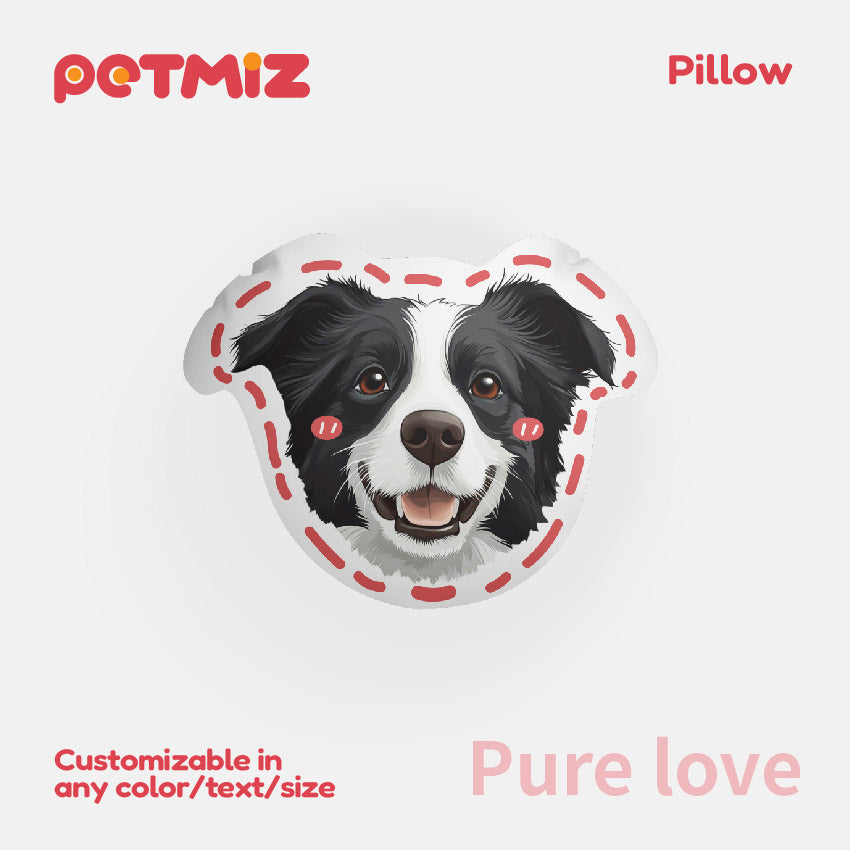 PETMIZ Pet Portrait Pillow