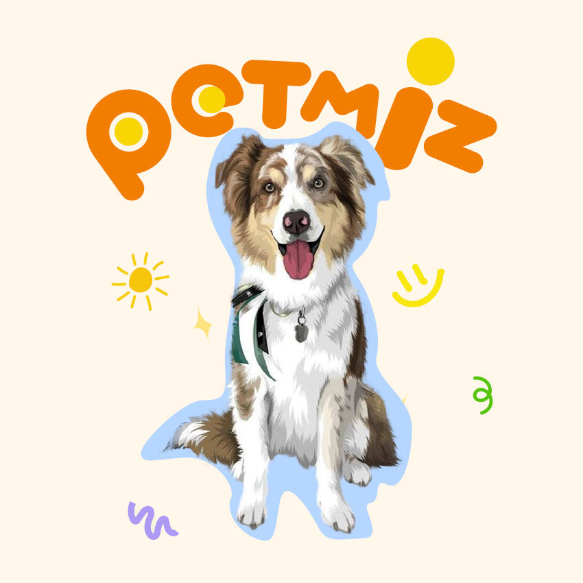 PETMIZ's Hand-Drawn Pet Portraits